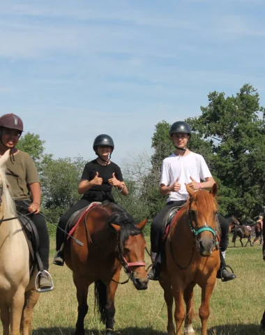 Cours d'équitation entre jeune au domaine equestre